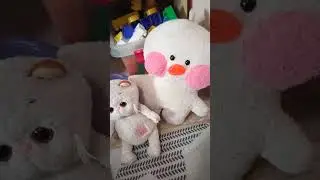 УТРО С Басиками 💕🍄🌤️
