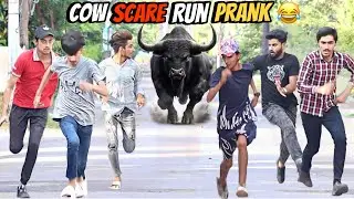 Fake Cow Run Prank | Most Funny Video 😂 @ThatWasCrazy