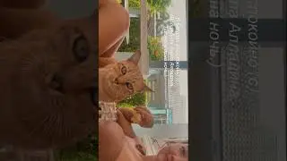 Кто смотрел Алладина?