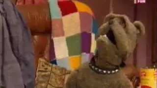 Pets Collection 3