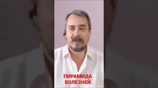 Пирамида болезней