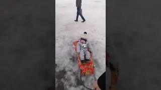Жаңа жылдан кейін 2017, Омар елка жақта