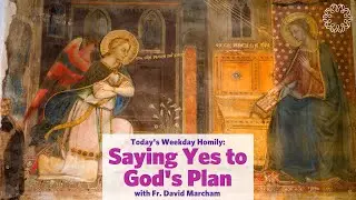 Saying Yes to God's Plan | Father David Marcham