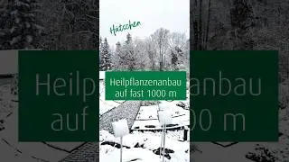 A.Vogel Heilpflanzengarten im Schnee #nature #avogel #heilpflanzen #teufen