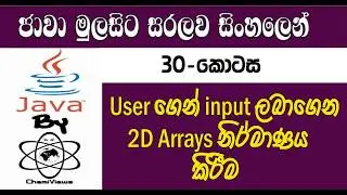 Java Sinhala By ChamiViews Part 30 - Get User Inputs & Fill the 2D Array
