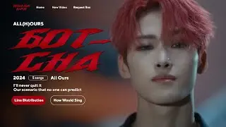 ALL(H)OURS - GOTCHA 🌙 Line Distribution
