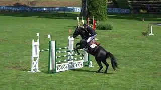 Darkhorse Brimbelles - CIR de Compiègne