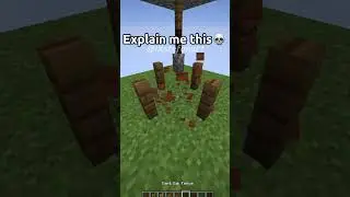 Minecraft logic... 