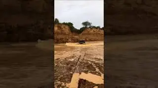 THAR IN MUD