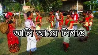 আলি আ:য়ে লিগাঙ//Ali aye ligang// Dibya sarmah//Assamese vlog