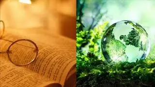 Il libro della NATURA di GALILEO || Domanda 33 Feat Curiuss