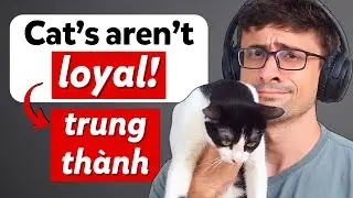 Podcast Chậm Rãi - Cùng nói về thú cưng nhé! | Tập 12