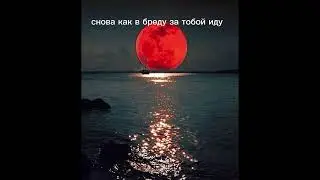 #Хит