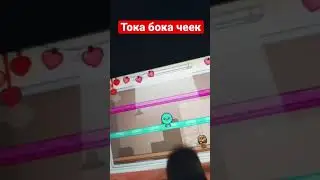 Тока бока чеек