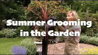 Summer Grooming in the Garden