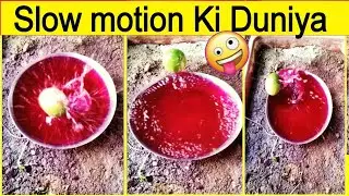 Slow motion video😨 Slow motion ki Duniya😳 How things work in slow motion😎 Real life vs Slow motion♥️