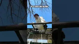 LA PALOMITA PACORRA