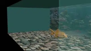 fish final