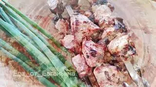 Обычный шашлык.