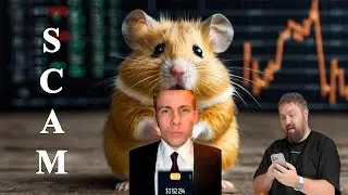 Скам крипта Шевцова / Itpedia и реклама Wylsacom Hamster Kombat