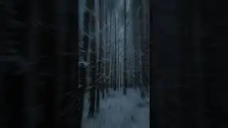 Schnee Fotografie im Schnee