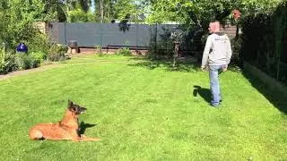 Grundkommando 