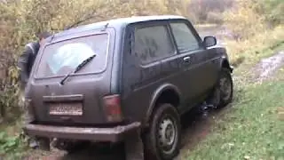 Катнули на нивасе