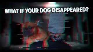 ANIMAL TRAFFICKING ON THE RISE... IS YOUR DOG NEXT?
