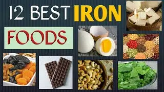 Iron Rich Foods List | 12 Best Foods That Provide Iron