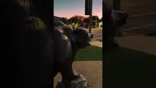 Discovering the Iconic Talking Bear Statue in Oakhurst - Must-See Attraction!