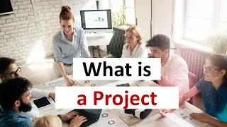 What is a Project? A guide for Management Consultants.