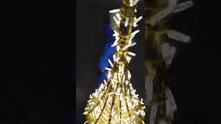 Різдво