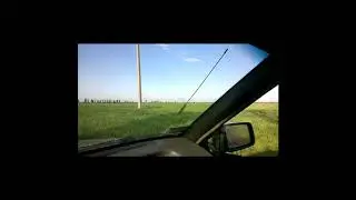 Стая зайцев.