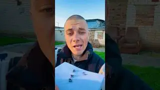 КАРАСИ ЕДЯТ МУХ