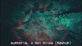 euphoria x Not Alike (Mashup)