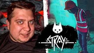 КОШАЧИЙ СТЕЛС - Stray #13