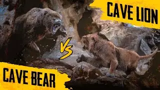 Cave Bear VS Cave Lion - Prehistoric Predators FACE-OFF