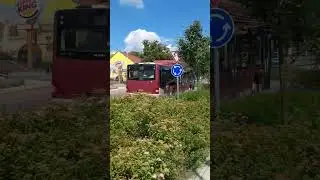 MAN Lion's City CNG NHP-409 Kaposvárott