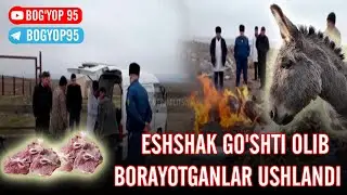 XORAZMDAN TOSHKENTGA ESHSHAK GO'SHTI OLIB BORAYOTGANLAR USHLANDI | TEZDA KO'RING