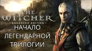 Беготня. Обзор The Witcher