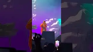 Calcutta - Kiwi (Live Rock In Roma 30/06/2024)