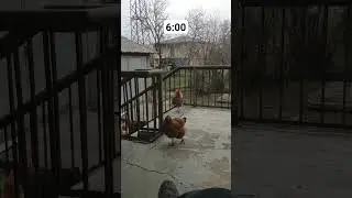 добрейшее утречко господа