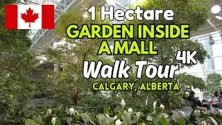 1 Hectare Indoor Botanical Garden Inside a Mall in Calgary: The Devonian Gardens! | Walk Tour 4K