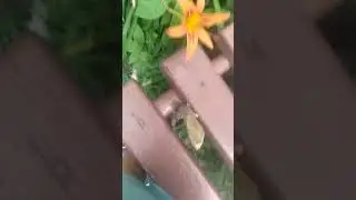 #Угадайте какая страна.
