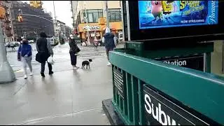 125th Street Harlem New York Vlog! Apollo Theatre & Black Ink Crew