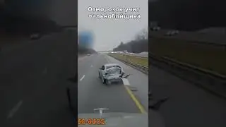 На это можно смотреть вечно 