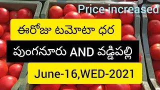 ఈరోజు టమోటా ధర ||పుంగనూరు మార్కెట్ ధర పెరిగింది 😍||Tamota price today || punganur AND vaddipalli