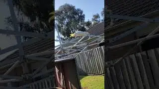 Slow feeding day get REAL BUSY REAL QUICK with 1 pigeon and 1 magpie.