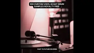 100 CUSTOM MADE VINYL HI-HAT SAMPLES (ROYALTY FREE)