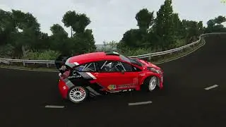 ford fiesta R5+ de juan carlos brito en la guancha